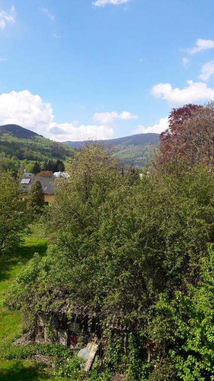 Apartmán Lipa, Loučná nad Desnou room 2